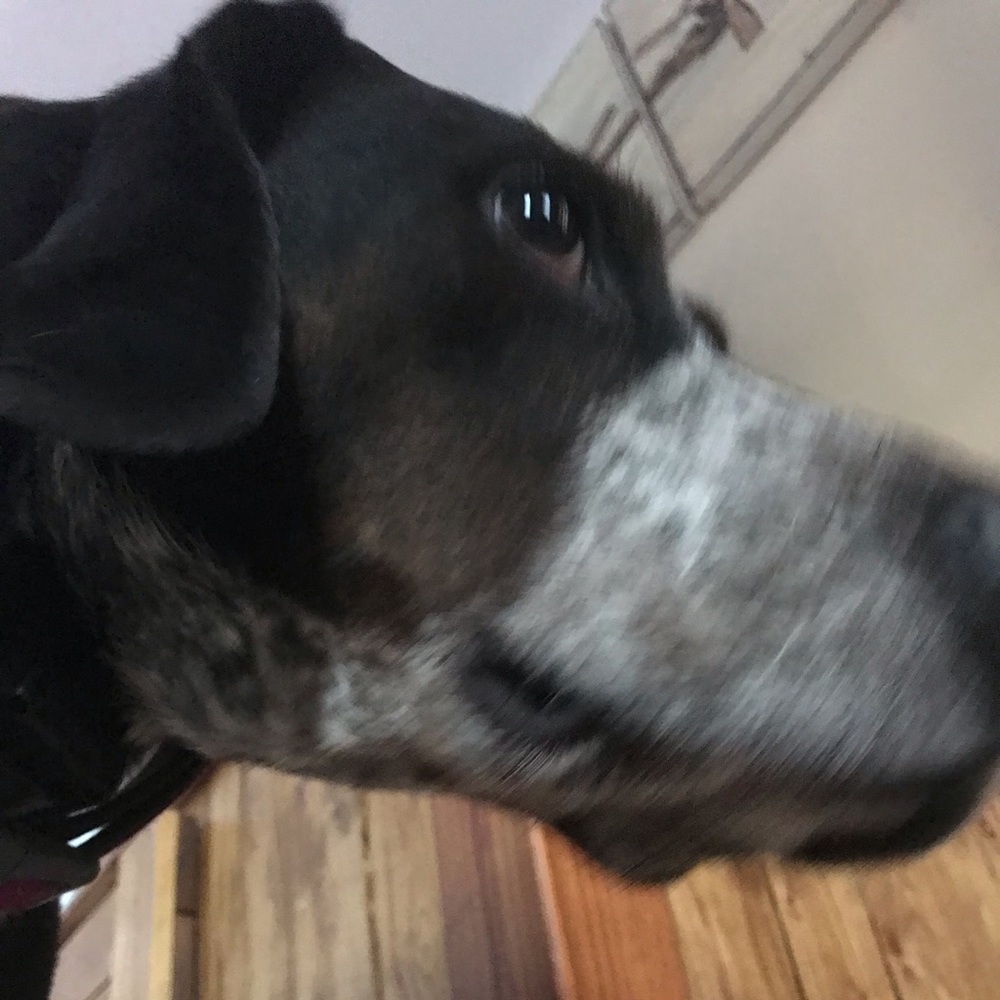 Meet your Posher, Jon